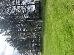 IMG_4375.jpeg