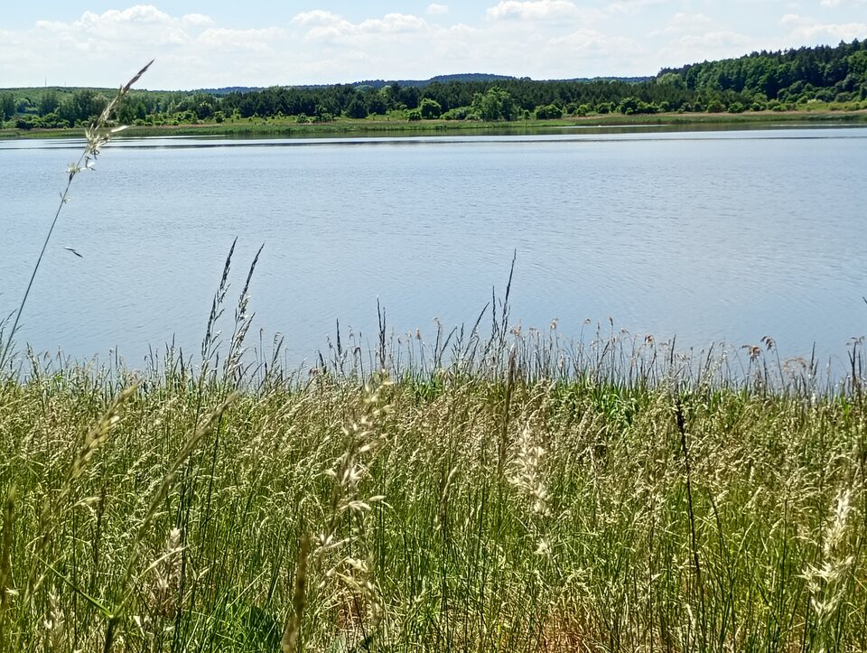181.jpg - ichliebedich__