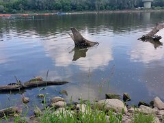 20260602_101437.jpg