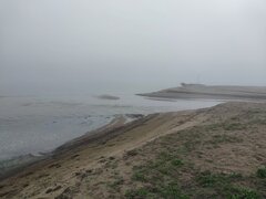 20260602_065703.jpg