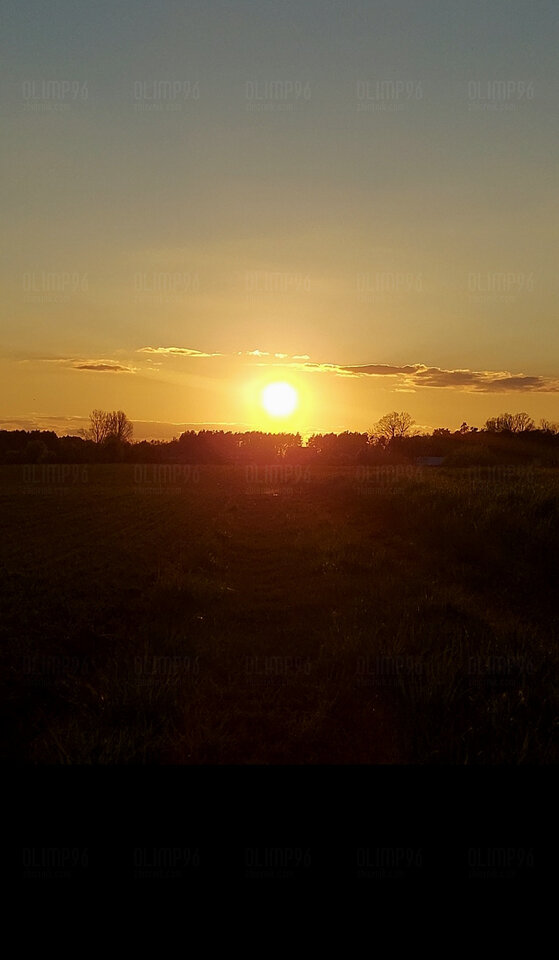 Sun.jpg - Olimp96
