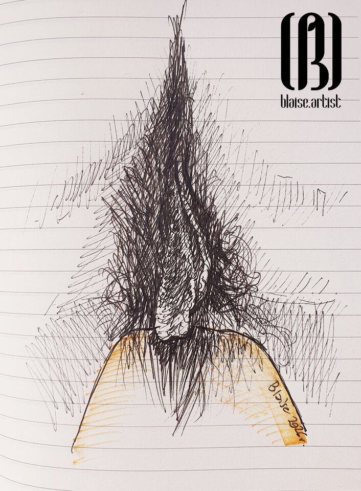 Art. No. 404 - blaise8