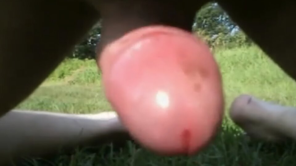 Screenshot_20260602_173938_Gallery(1).jpg - ExhibEverywere