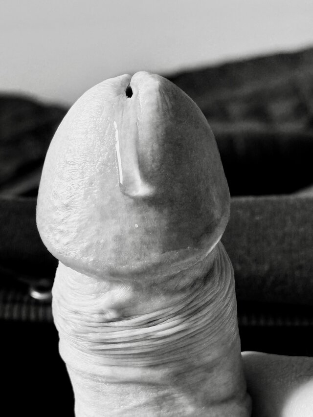 Piotr_Petr