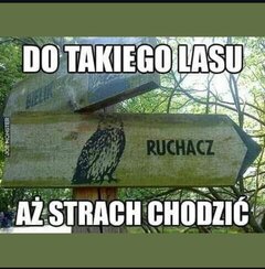 312.jpg