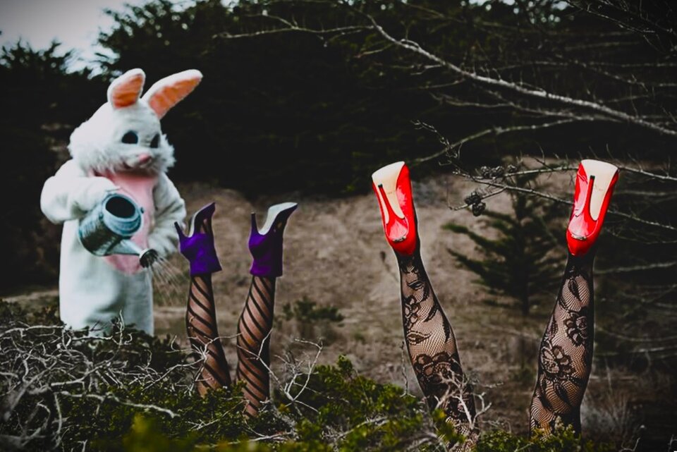 bunny.jpg - bluebirdX