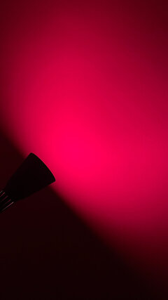 F06DBE94-7CF5-42AE-B60D-FD03B69141FF.jpeg