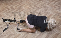 tviza_sexmach_002_zw_OK_max.jpg
