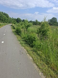 4679.jpg