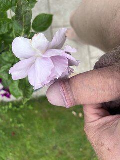 IMG_7850.jpeg
