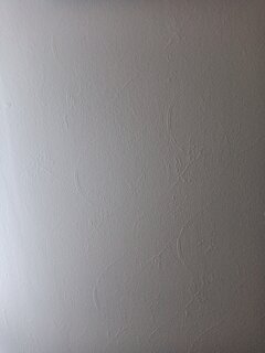 1000003086.jpg