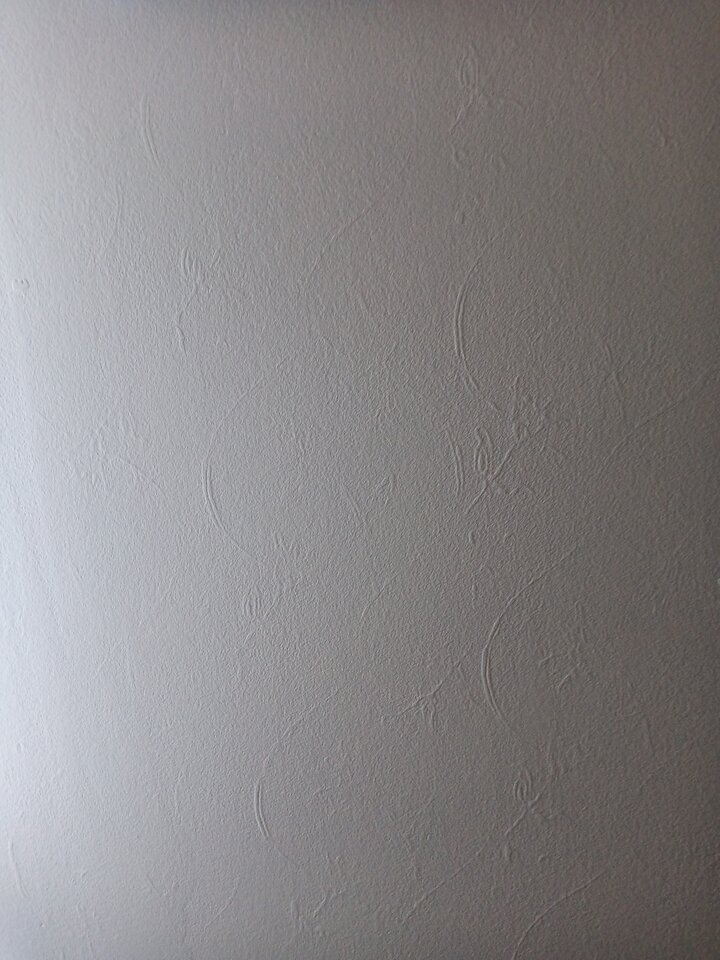 1000003086.jpg - 65para