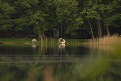 _DSC6274.JPG
