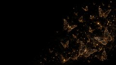 IMG_2799.jpeg