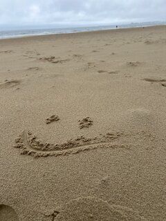 IMG_1757.jpeg