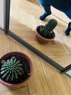 IMG_1055.jpeg