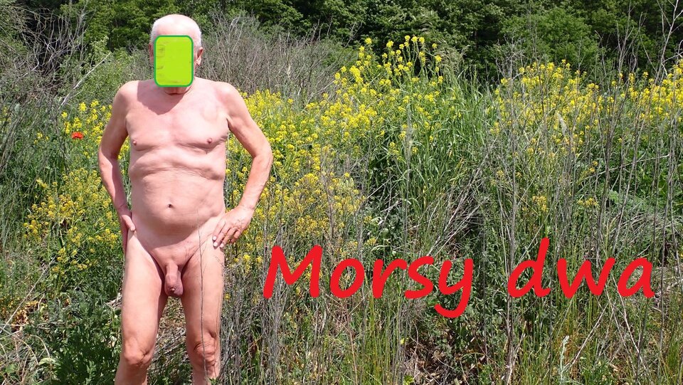 W końcu w plenerze !!! - Morsy_dwa