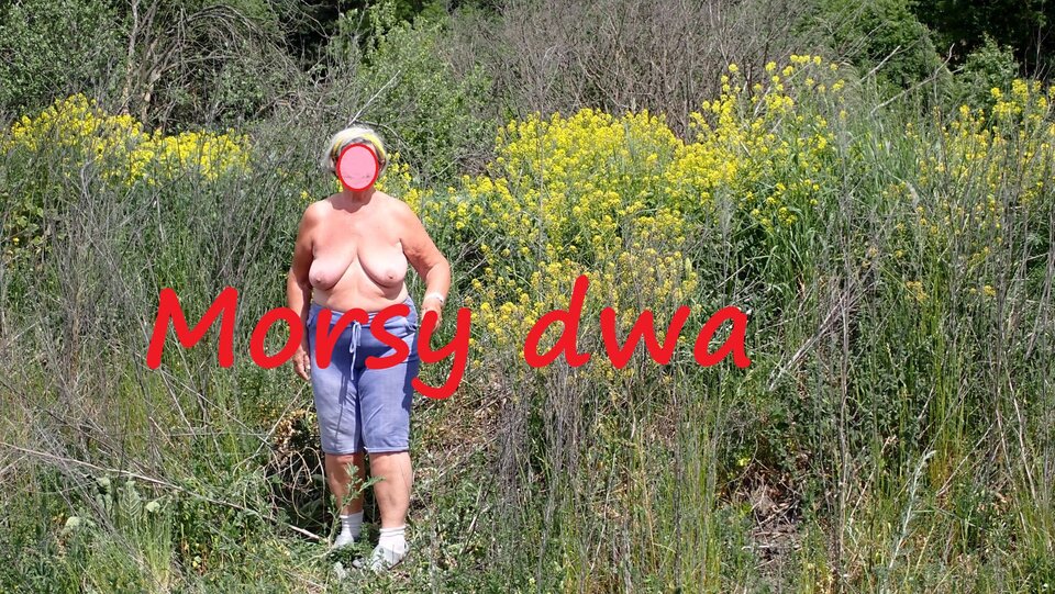 W końcu w plenerze !!! - Morsy_dwa