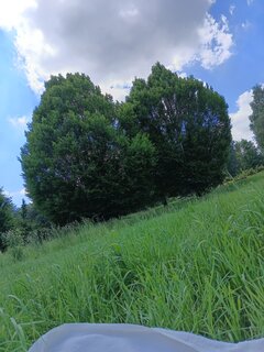 IMG_20260606_135048629.jpg