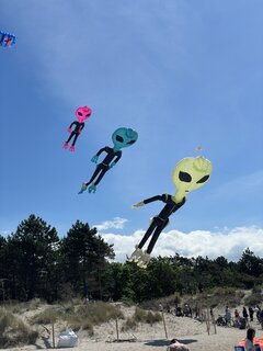 IMG_4507.jpeg