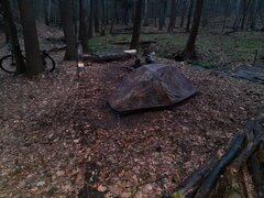 2e2d13ad-06b8-48bb-819f-69947a0aa51a-1_all_152.jpg