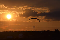 _DSC6879.JPG