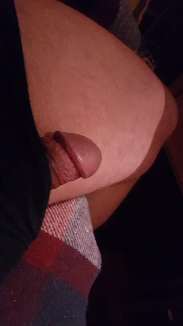 Euforyczne8698StworkiWwa