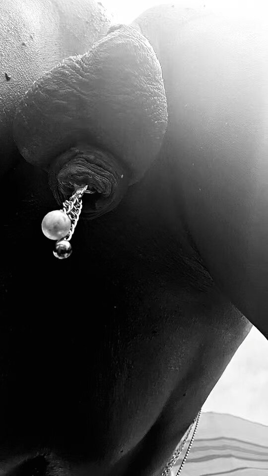 13824.jpg - Piercinglove