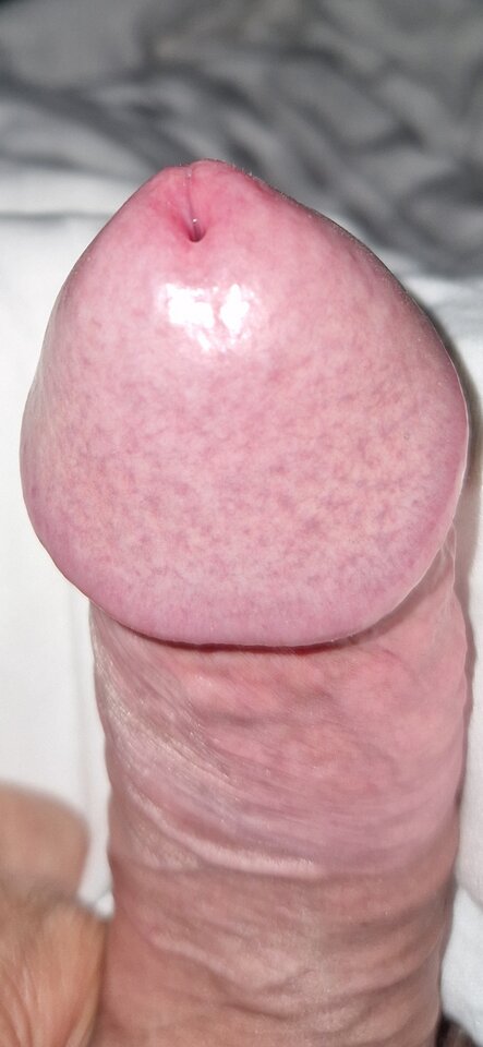 1000026557.jpg - Ss1274
