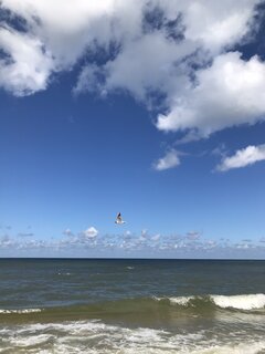 CA956BA5-6F31-4B5C-9147-3B32D60343B3.jpeg