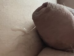IMG_7981.jpeg