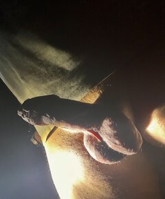 IMG_2636.jpeg