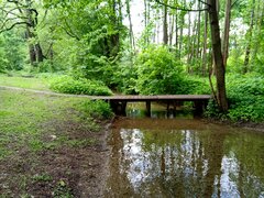IMG_20210527_103212.jpg