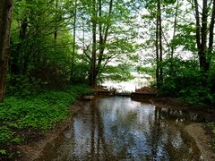 IMG_20210527_103254.jpg