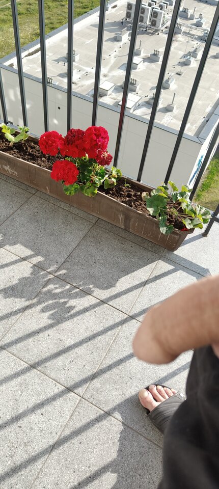 1000003794.jpg - NKOL85