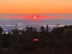 IMG_5172.jpeg