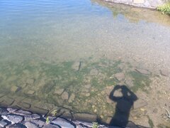 IMG_20260608_095258_510.jpg