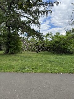 IMG_1924.jpeg