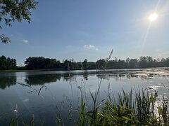 IMG_0139.jpeg