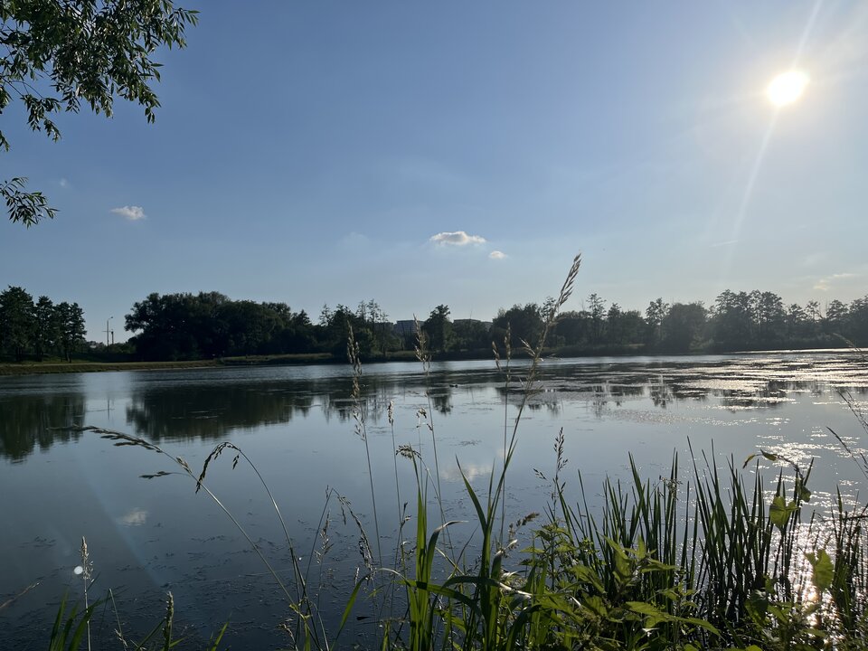 IMG_0139.jpeg - Jarek31KR