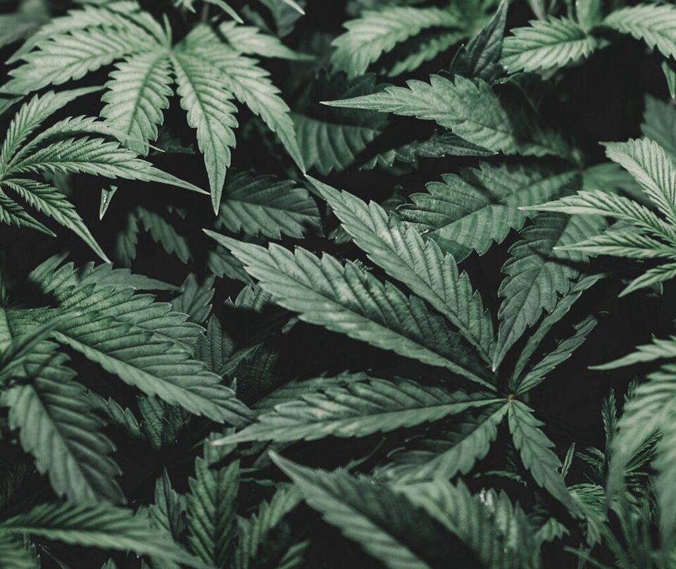 parallax_cbd-1024x862.jpg - EzsCw