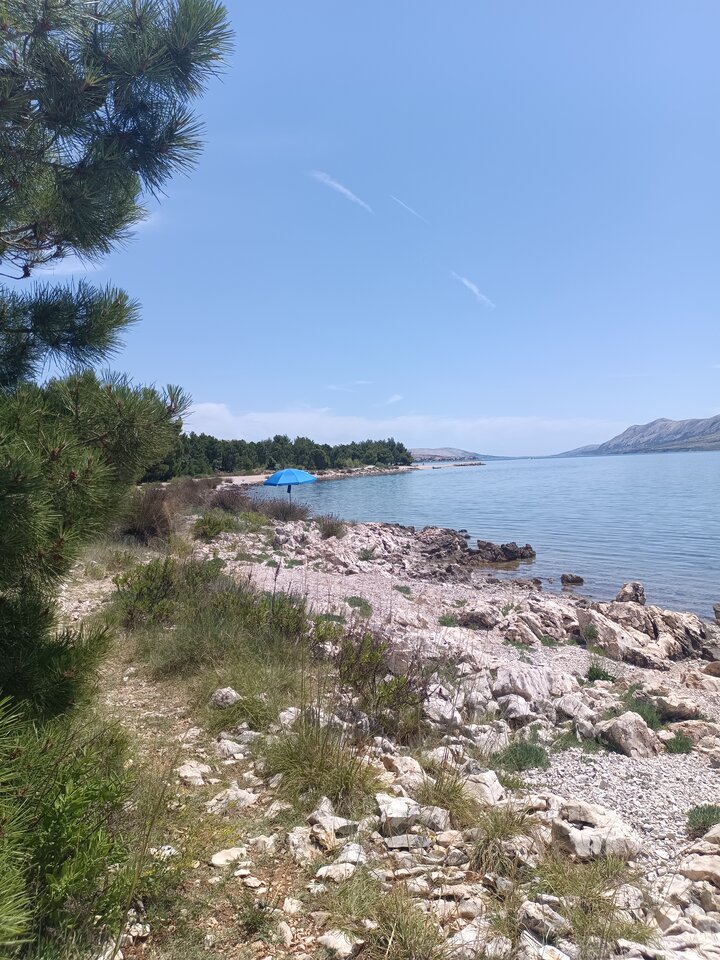 1000009127.jpg - DyskretnyNaturysta