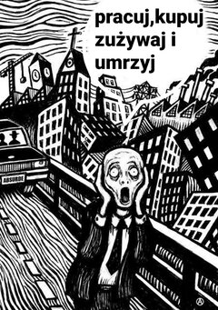 Krzyk  rozpaczy .jpg