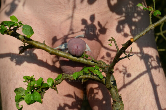 fotografik5