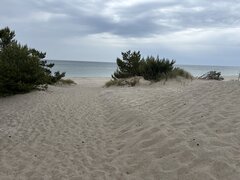 IMG_5102.jpeg