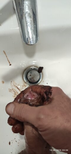 IMG_20260610_033400.jpg