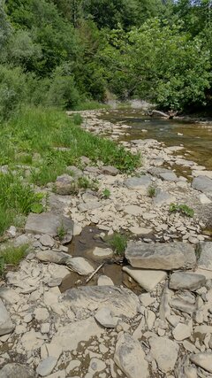 IMG_20260609_122741793_HDR.jpg