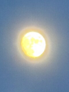IMG_1861.jpeg