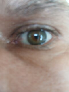 20260611_135517.jpg