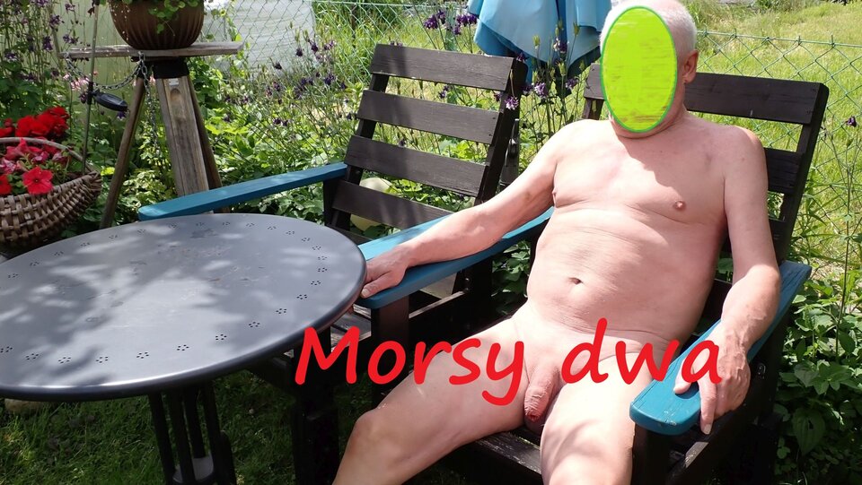 W słoneczku. Wariacje na słońce i ... - Morsy_dwa